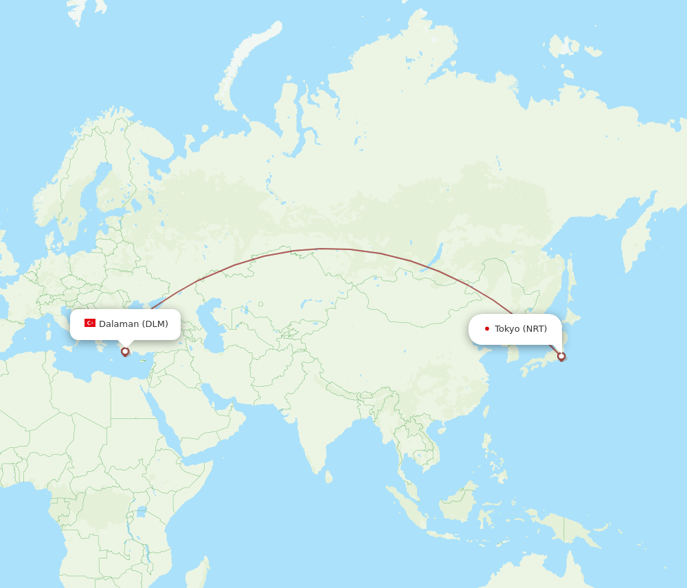 NRT-DLM flight routes